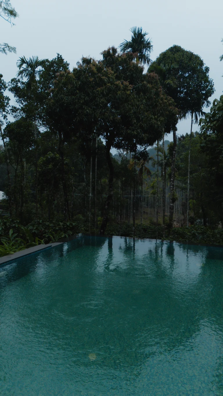 best pool resort in wayanad